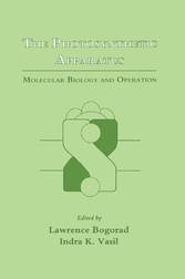 The Photosynthetic Apparatus: Molecular Biology and Operation