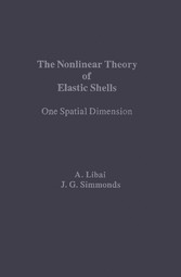 The Nonlinear Theory of Elastic Shells