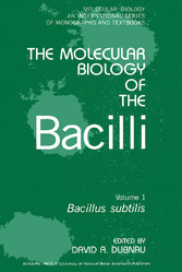 Bacillus Subtilis