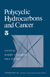 Polycyclic hydrocarbons and cancer