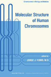 Molecular Structure of Human Chromosomes