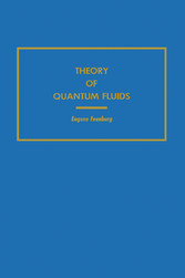 Theory of Quantum Fluids