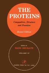 The Proteins Composition, Structure, and Function V4