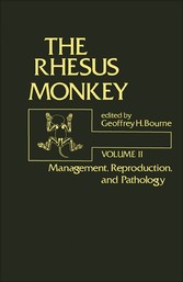 The Rhesus Monkey