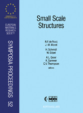 Small Scale Structures