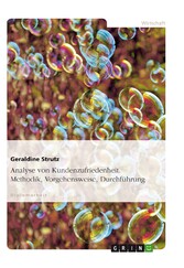 Analyse von Kundenzufriedenheit. Methodik, Vorgehensweise, Durchführung