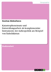 Katastropheneinsatz und Entwicklungsarbeit als komplementäre Instrumente der Außenpolitik am Beispiel von Tadschikistan