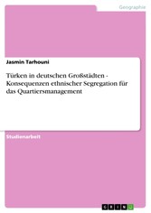 Türken in deutschen Großstädten - Konsequenzen ethnischer Segregation für das Quartiersmanagement