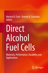 Direct Alcohol Fuel Cells