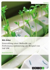 Entwicklung einer Methodik zur Performanceoptimierung am Beispiel von SAP BW