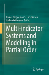 Multi-indicator Systems and Modelling in Partial Order