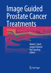 Image Guided Prostate Cancer Treatments