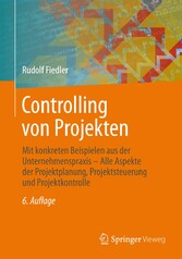 Controlling von Projekten