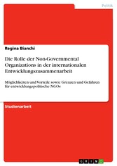 Die Rolle der Non-Governmental Organizations in der internationalen Entwicklungszusammenarbeit