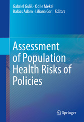 Assessment of Population Health Risks of Policies