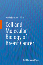 Cell and Molecular Biology of Breast Cancer