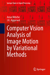 Computer Vision Analysis of Image Motion by Variational Methods