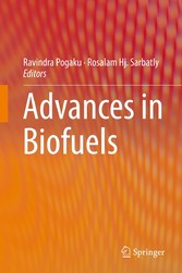 Advances in Biofuels