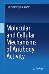 Molecular and Cellular Mechanisms of Antibody Activity