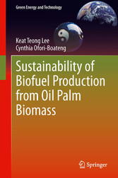 Sustainability of Biofuel Production from Oil Palm Biomass