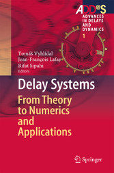 Delay Systems