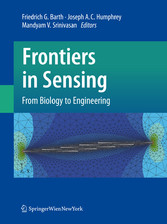 Frontiers in Sensing