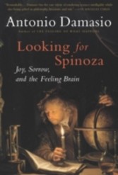 Looking for Spinoza