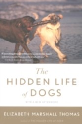 Hidden Life of Dogs