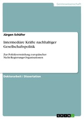 Intermediäre Kräfte nachhaltiger Gesellschaftspolitik