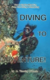 Diving to Adventure