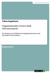 Organisationales Lernen dank Self-Assessment?