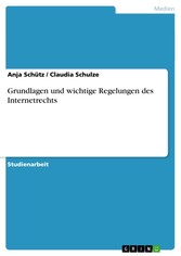 Grundlagen und wichtige Regelungen des Internetrechts