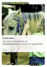 Das Pferd als Lernhelfer für verhaltensauffällige Kinder und Jugendliche