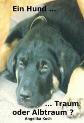 Ein Hund ... Traum - oder Albtraum