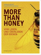 More Than Honey