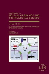 Glucose Homeostatis and the Pathogenesis of Diabetes Mellitus