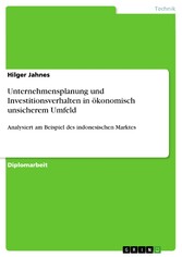 Unternehmensplanung und Investitionsverhalten in ökonomisch unsicherem Umfeld