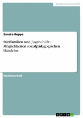 Stieffamilien und Jugendhilfe - Möglichkeiten sozialpädagogischen Handelns