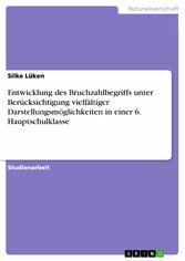 Entwicklung des Bruchzahlbegriffs unter Berücksichtigung vielfältiger Darstellungsmöglichkeiten in einer 6. Hauptschulklasse