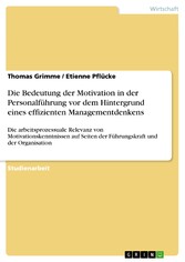 Die Bedeutung der Motivation in der Personalführung vor dem Hintergrund eines effizienten Managementdenkens