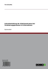 Aufrechterhaltung der Arbeitsmotivation bei Veränderungsprozessen im Unternehmen