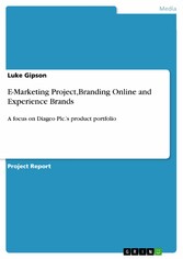 E-Marketing Project,Branding Online and Experience Brands