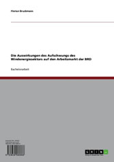 Die Auswirkungen des Aufschwungs des Windenergiesektors auf den Arbeitsmarkt der BRD