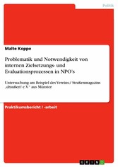 Problematik und Notwendigkeit von internen Zielsetzungs- und Evaluationsprozessen in NPO's