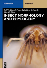 Insect  Morphology and Phylogeny