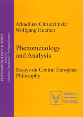 Phenomenology & Analysis