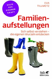 Familienaufstellungen (Fachratgeber Klett-Cotta, Bd.)