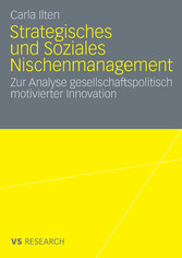 Strategisches und soziales Nischenmanagement