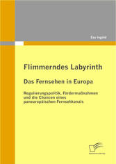 Flimmerndes Labyrinth: Das Fernsehen in Europa  – Regulierungspolitik, Fördermaßnahmen und die Chancen eines paneuropäischen Fernsehkanals