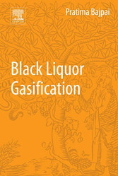 Black Liquor Gasification